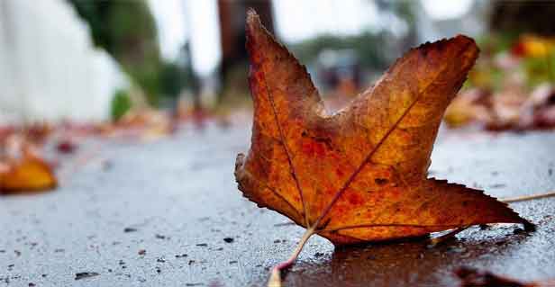 ?親愛的，你晚上睡不著不是你的錯，你只是太用力了